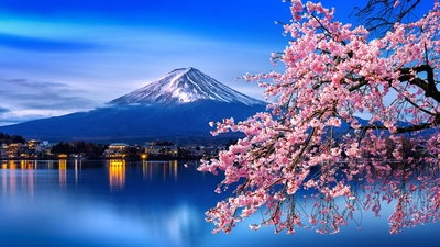 JAPAN CULTURAL IMMERSION